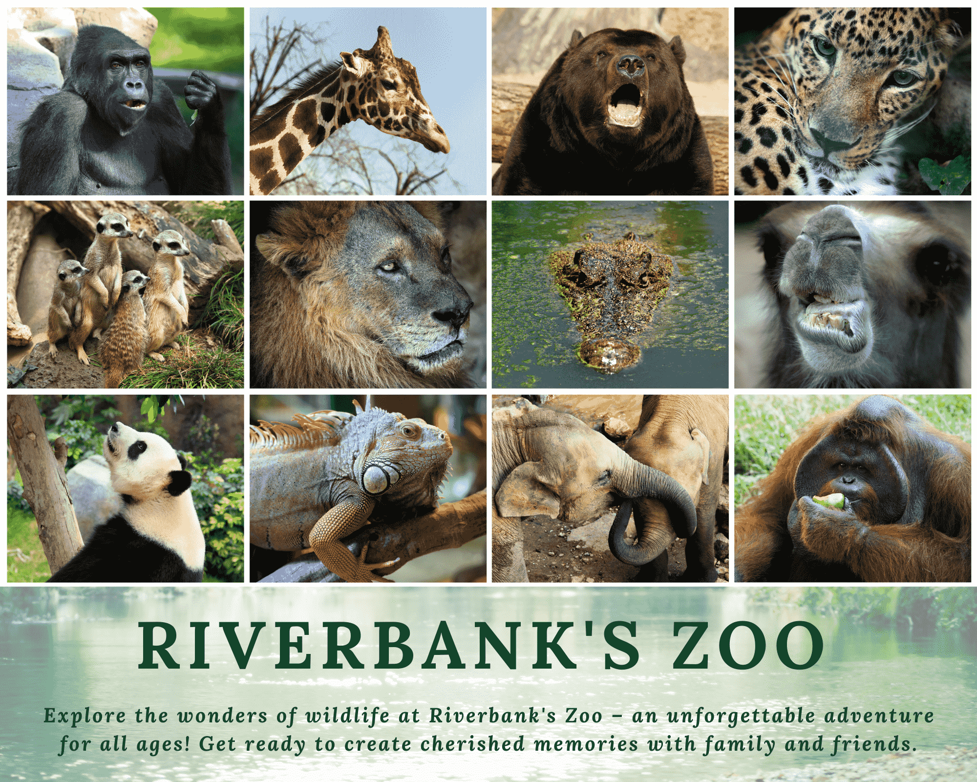 Riverbanks_Zoo
