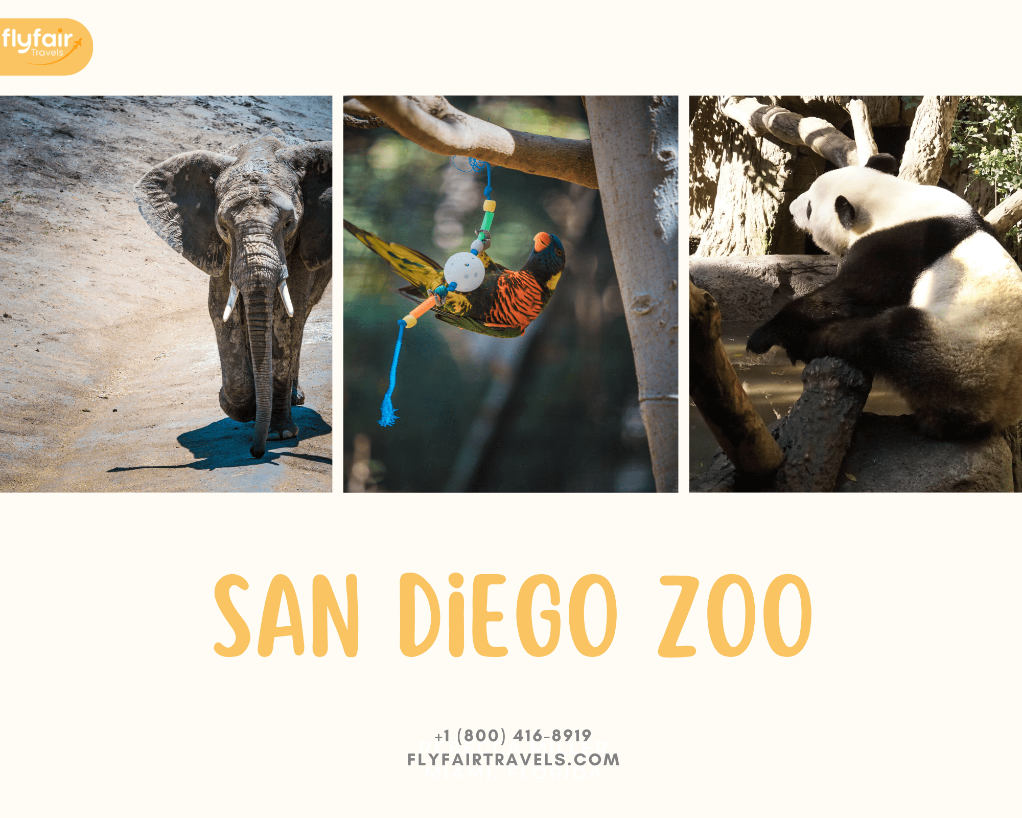 San_Diego_ZOO